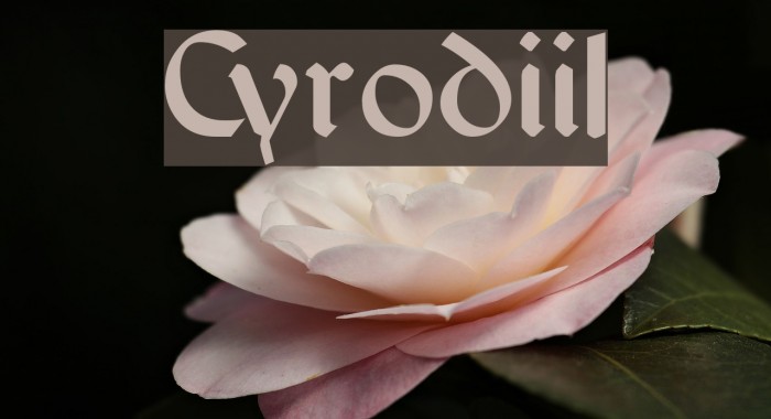 Cyrodiil Example 3