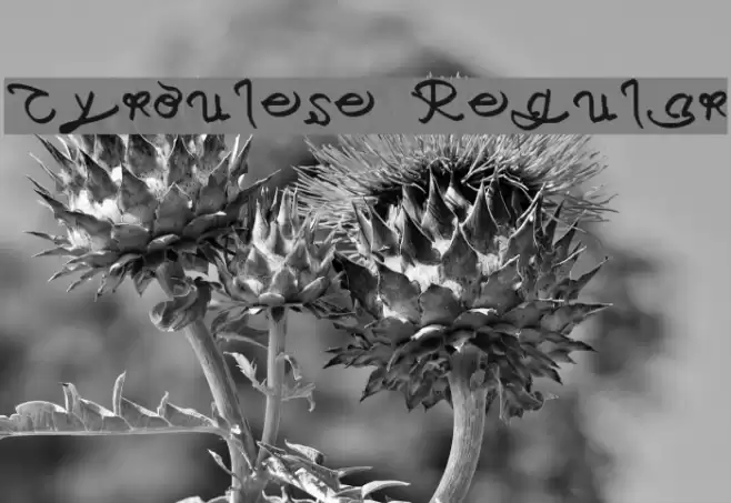 Cyroulese Regular Font examples