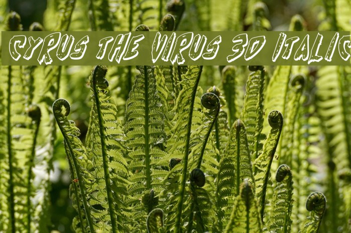 Cyrus the Virus 3D Italic Font examples