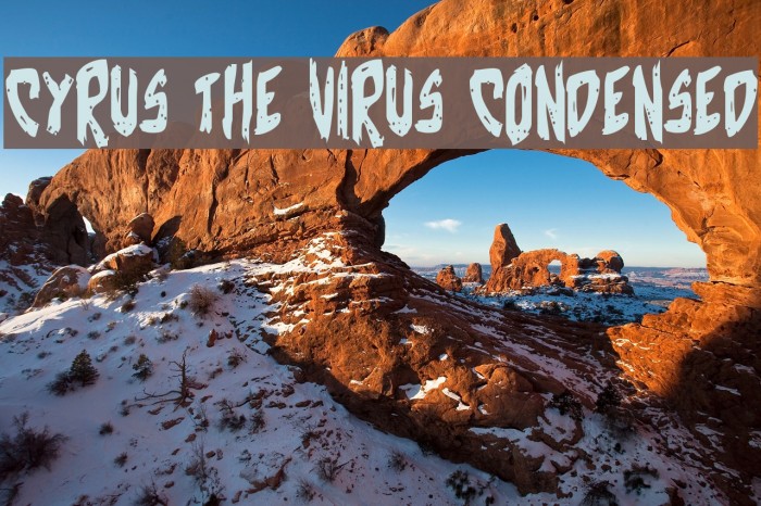 Cyrus the Virus Condensed Font examples