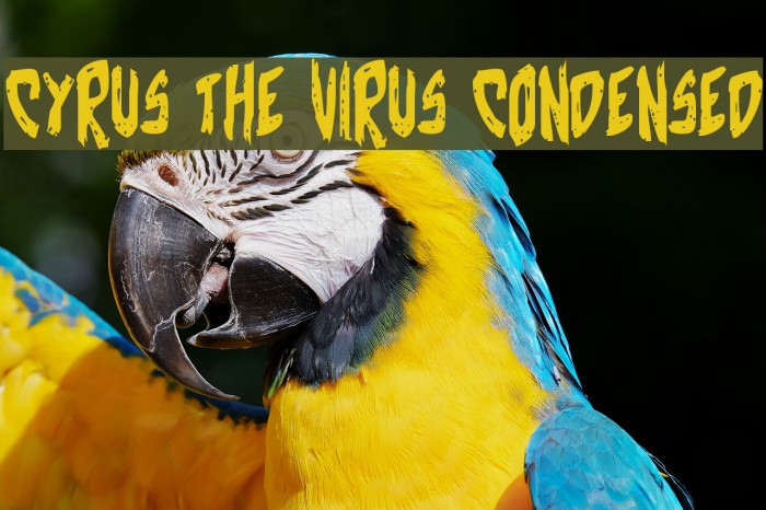 Cyrus the Virus Condensed Font examples