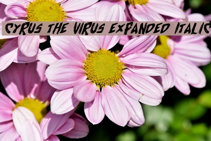 Cyrus the Virus Expanded Italic Font examples