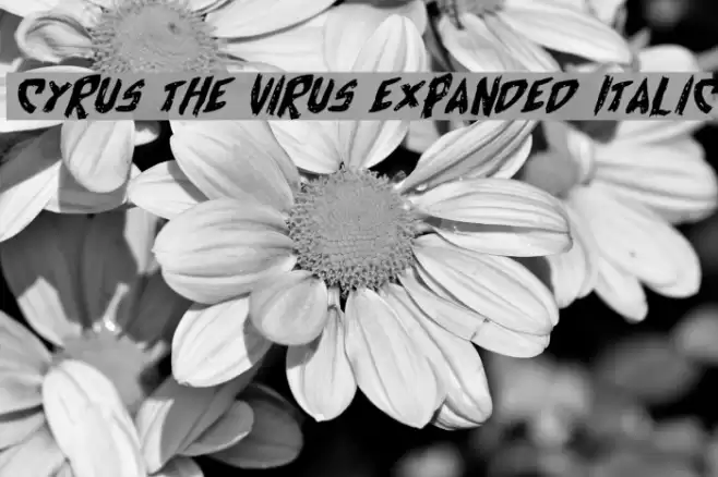 Cyrus the Virus Expanded Italic Font examples