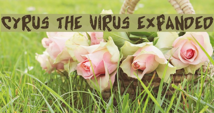 Cyrus the Virus Expanded Font examples