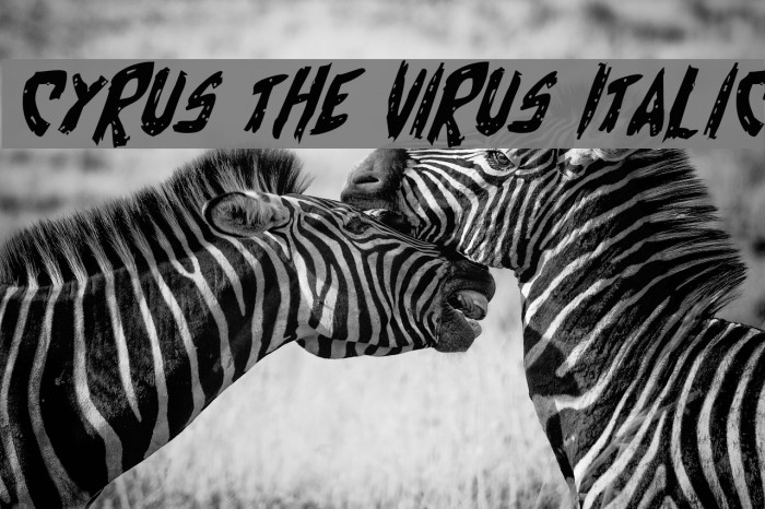 Cyrus the Virus Italic Font examples