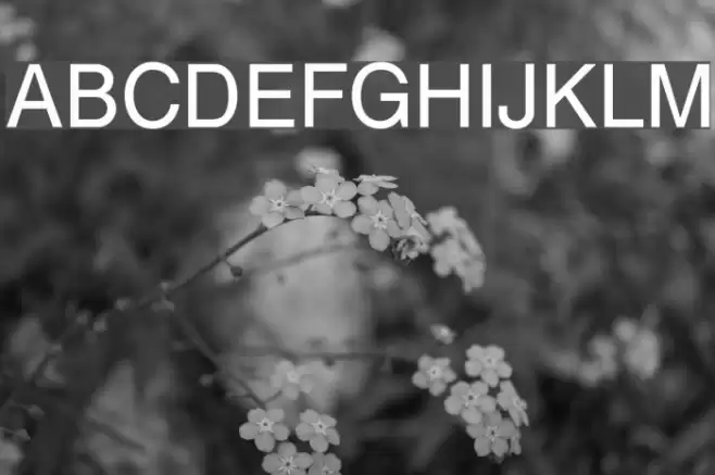 Cyrvetica Font examples