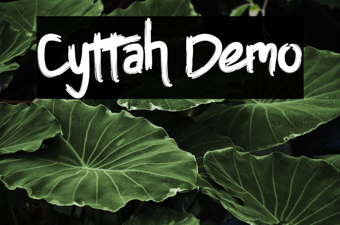 Cyttah Demo Example 1