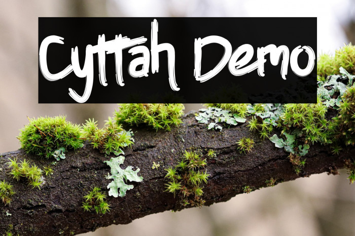 Cyttah Demo Example 3