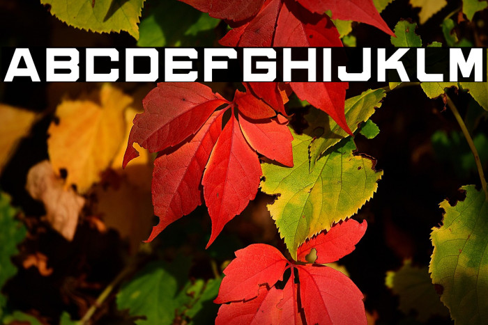 cybero Personal Use Example 3