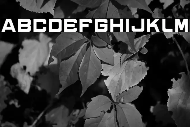 cybero Personal Use Font examples