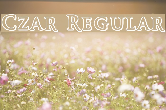 Czar Regular Font examples