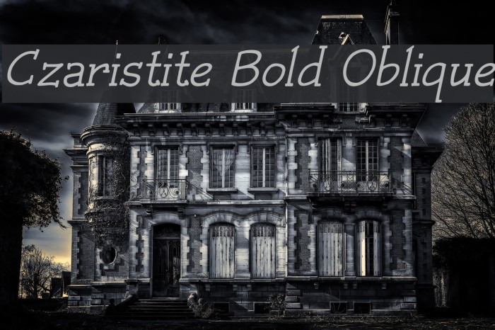 Czaristite Bold Oblique Font examples