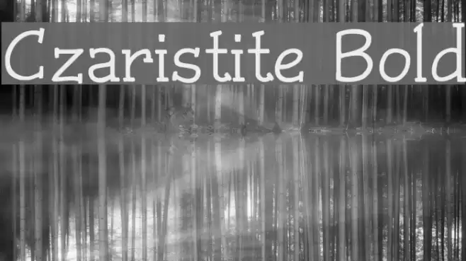 Czaristite Bold Polices examples