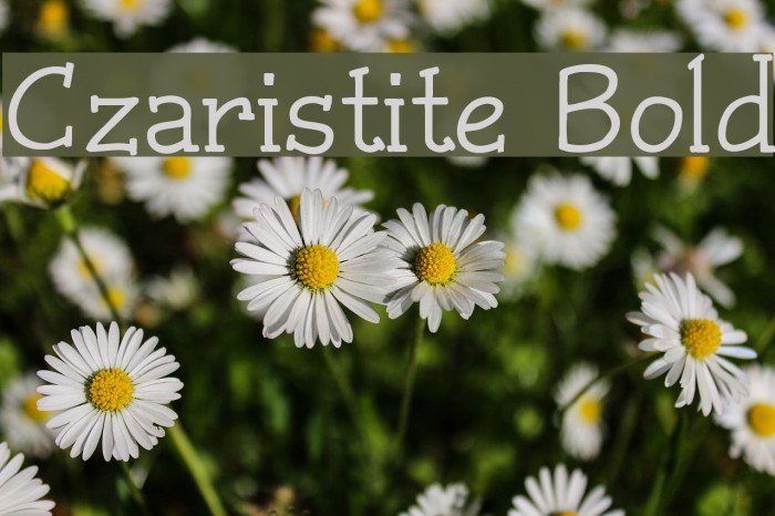 Czaristite Bold Font examples