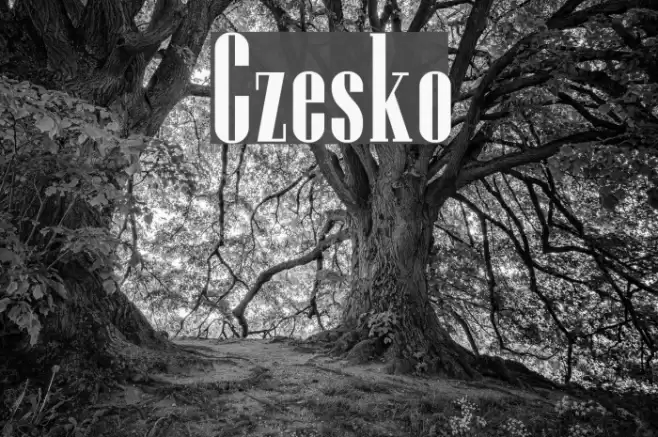 Czesko Font examples