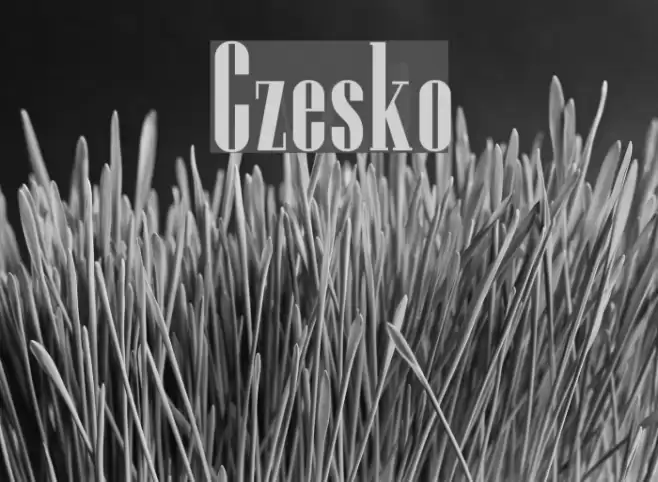 Czesko Font examples