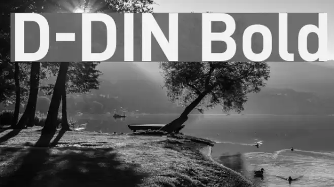 D-DIN Bold Font examples