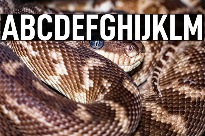 D-DIN Condensed Bold Example 1