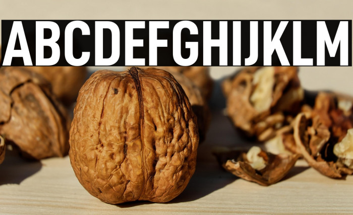 D-DIN Condensed Bold Example 3