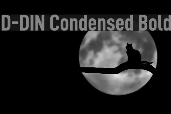 D-DIN Condensed Bold Font examples