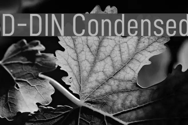D-DIN Condensed Example 1