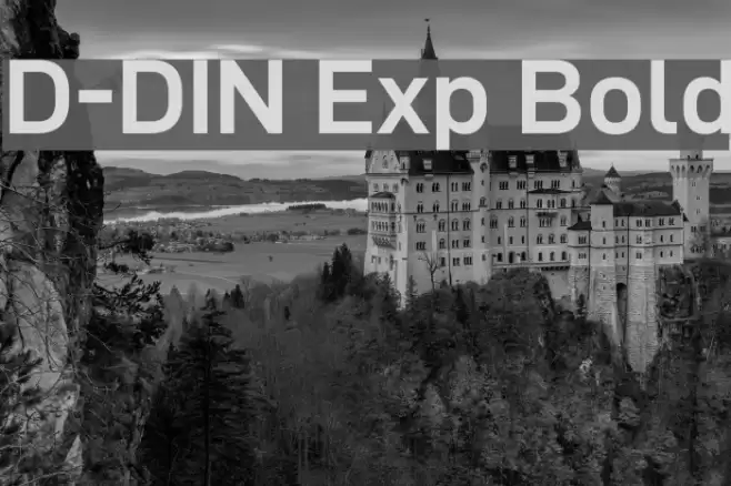 D-DIN Exp Bold Caratteri examples