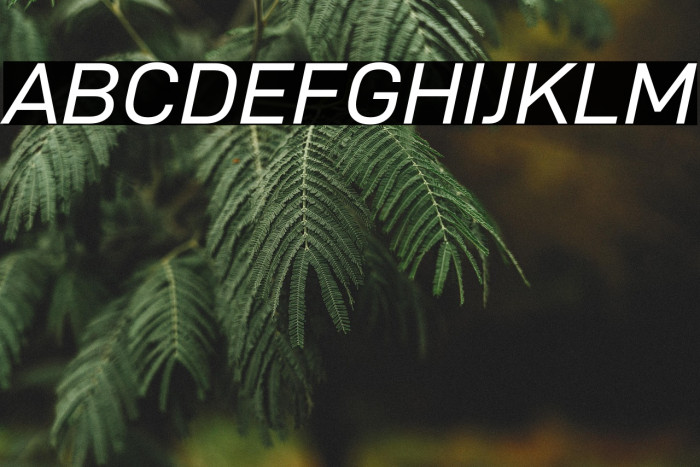 D-DIN Exp Italic Example 2