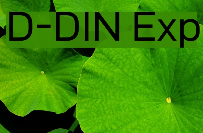D-DIN Exp Font examples