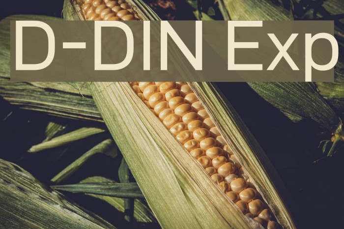 D-DIN Exp Font examples