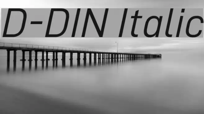 D-DIN Italic Caratteri examples