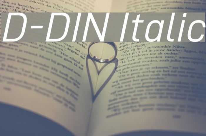 D-DIN Italic Font examples