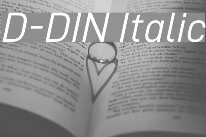 D-DIN Italic Caratteri examples