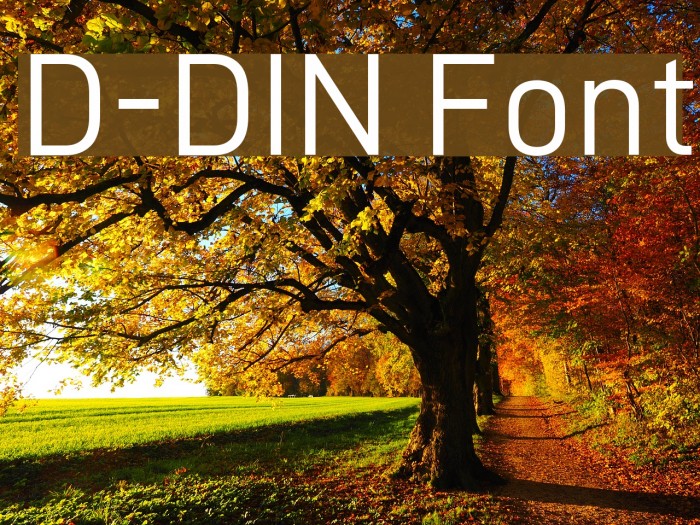 D-DIN Font examples