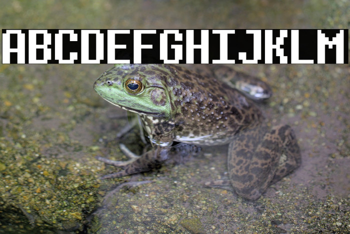 D-determination (RUS BY LYAJKA) Example 1