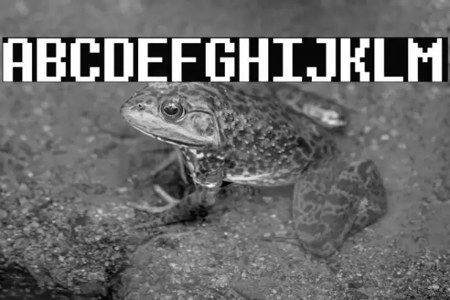 D-determination (RUS BY LYAJKA) Шрифта examples