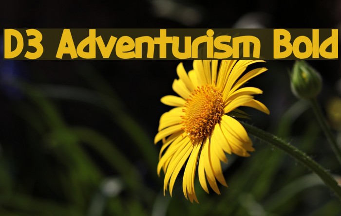 D3 Adventurism Bold Font examples