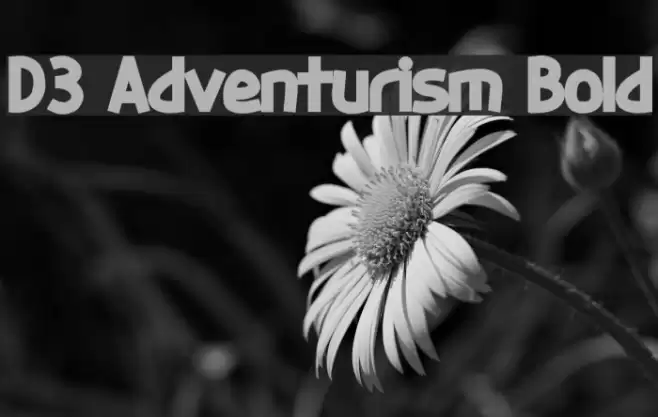 D3 Adventurism Bold Шрифта examples