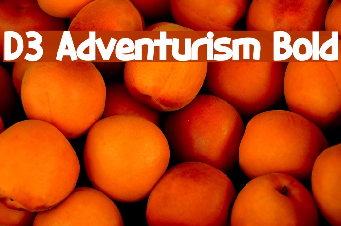 D3 Adventurism Bold Font examples