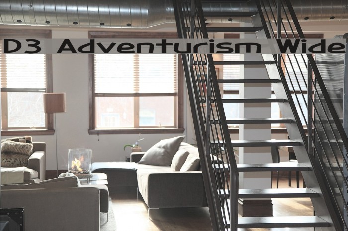 D3 Adventurism Wide Example 3