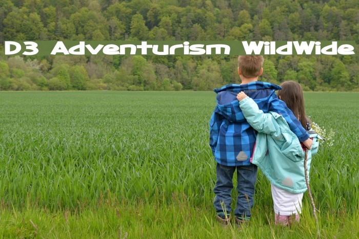 D3 Adventurism WildWide Font examples