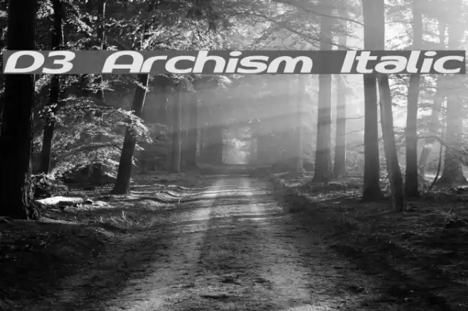 D3 Archism Italic Font examples