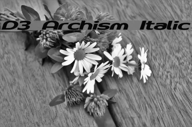 D3 Archism Italic Font examples
