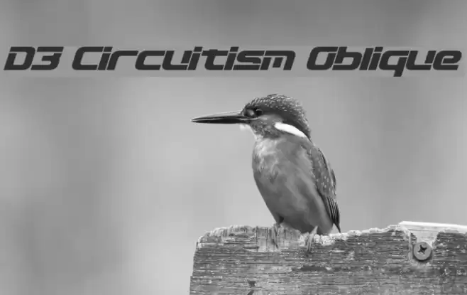 D3 Circuitism Oblique Font examples