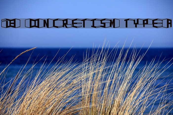 D3 Concretism typeA Font examples