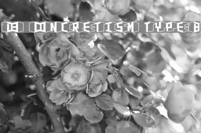 D3 Concretism typeB Font examples