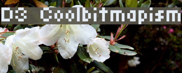 D3 Coolbitmapism Font examples