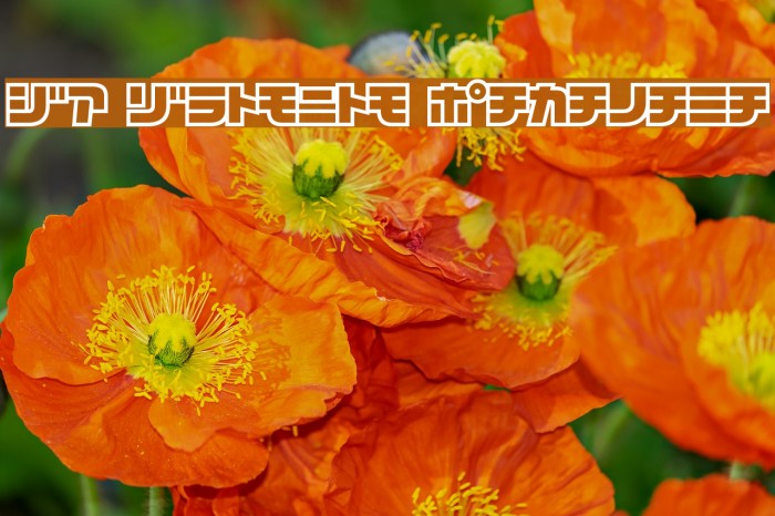 D3 Cosmism Katakana Font examples