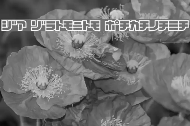 D3 Cosmism Katakana Font examples