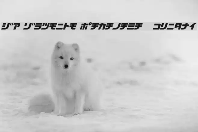 D3 Cozmism Katakana Oblique Font examples