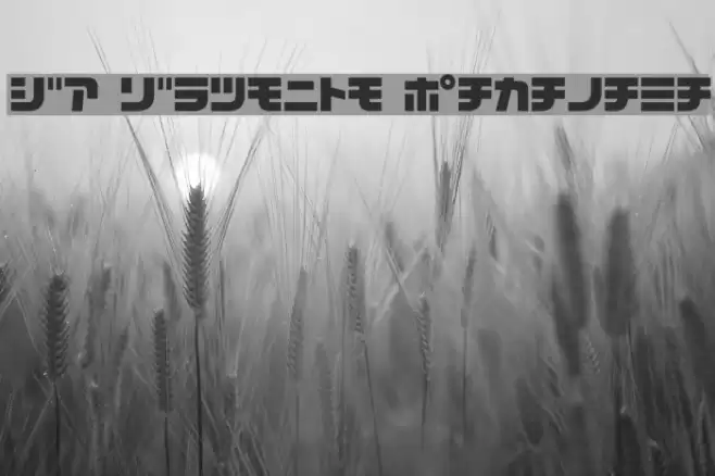 D3 Cozmism Katakana Шрифта examples